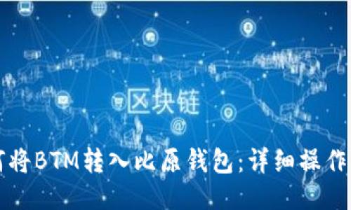 如何将BTM转入比原钱包：详细操作指南
