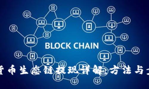 TP钱包货币生态链提现详解：方法与步骤指南