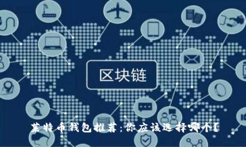 莱特币钱包推荐：你应该选择哪个？
