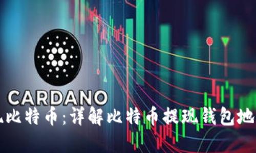 如何安全提现比特币：详解比特币提现钱包地址选择与使用