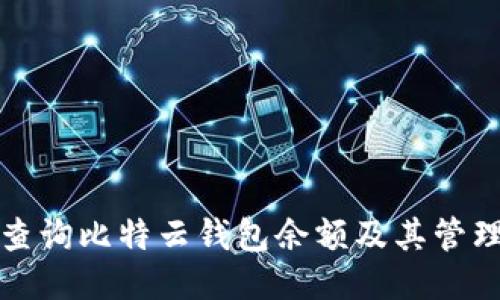 如何查询比特云钱包余额及其管理技巧