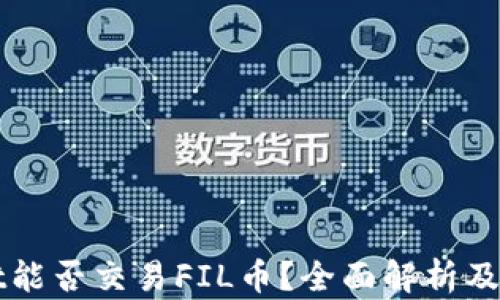 tpWallet能否交易FIL币?全面解析及使用指南