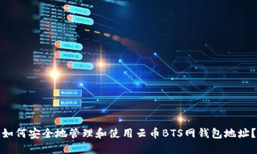 如何安全地管理和使用云币BTS网钱包地址？