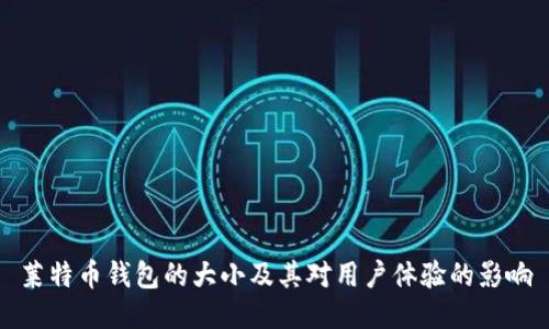 莱特币钱包的大小及其对用户体验的影响