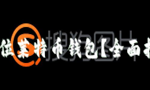 如何选择和使用32位莱特币钱包？全面指南与常见问题解析