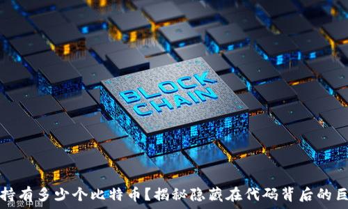   
中本聪持有多少个比特币？揭秘隐藏在代码背后的巨额财富