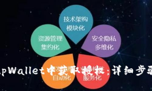 如何在tpWallet中获取授权：详细步骤与技巧