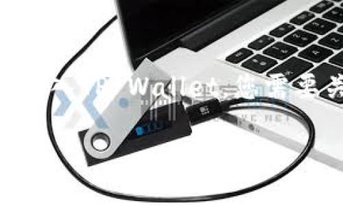 要将FIL（Filecoin）放入TP Wallet，您需要关注以下几个方面：

### 