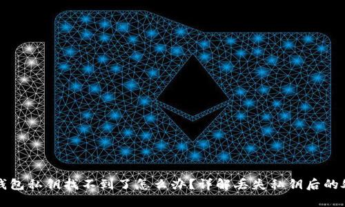 小狐狸钱包私钥找不到了怎么办？详解丢失私钥后的处理方法