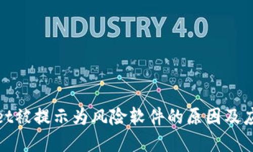 tpWallet被提示为风险软件的原因及应对措施