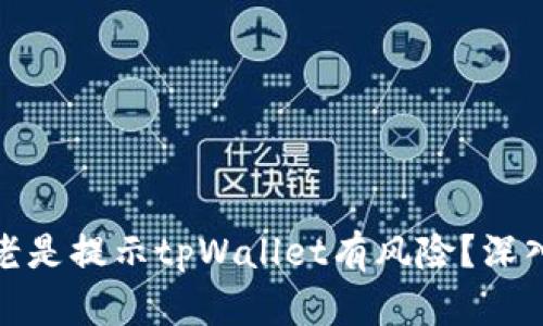 瑜伽会所为什么老是提示tpWallet有风险？深入解析与解决方案