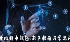 如何打开比特币钱包：新