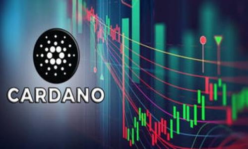 私钥的位数并不是统一的，不同的加密货币钱包（包括tpWallet）可能采用不同的算法和生成方式。然而，通常情况下，私钥是一串较长的字符，不会再规定为特定的“几位数”。在以太坊和比特币等公共区块链中，私钥通常由64个十六进制字符构成，总长度为256位。

以下是一些与私钥相关的要点：

1. **私钥的构成**：私钥通常是随机生成的，不同于简单的数字或字母组合。它在加密算法中充当安全访问特权的角色。

2. **安全性**：拥有私钥就拥有对资产的完全控制权，因此必须妥善保管，避免泄露或被盗。

3. **与公钥的关系**：私钥和公钥是密切相关的，公钥可以由私钥推导而出，但反之则不可。

4. **丢失私钥的后果**：如果私钥丢失，用户将无法再访问其钱包中的资产。

如果您需要更详细的信息或具体问题解答，请随时告知！