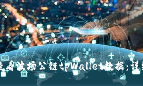 如何查看波场公链tpWallet数据:详细指南
