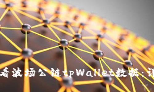 如何查看波场公链tpWallet数据：详细指南