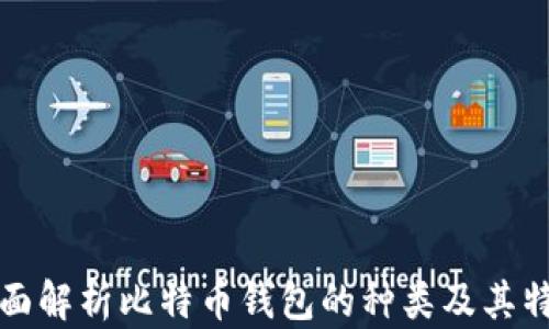 
全面解析比特币钱包的种类及其特点