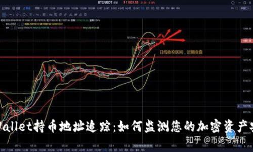 tpWallet持币地址追踪:如何监测您的加密资产安全