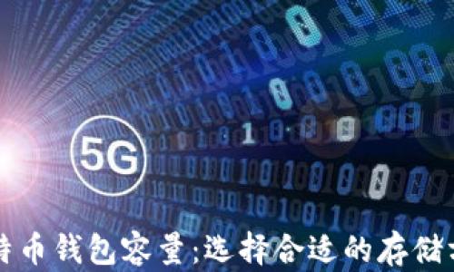 
莱特币钱包容量：选择合适的存储方案