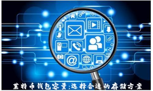 
莱特币钱包容量：选择合适的存储方案