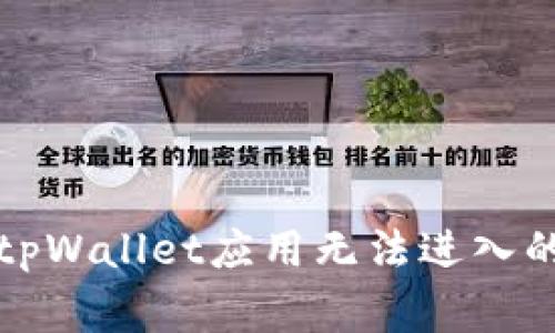 如何解决tpWallet应用无法进入的常见问题