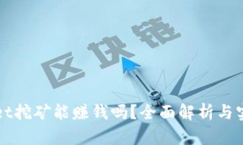 tpWallet挖矿能赚钱吗？全面解析与实用指南