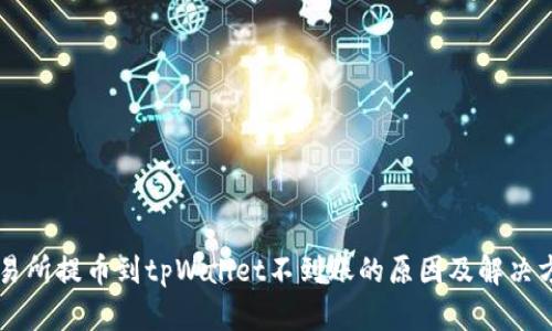 交易所提币到tpWallet不到账的原因及解决方法