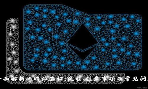 全面解析比特派验证：流程、注意事项及常见问题