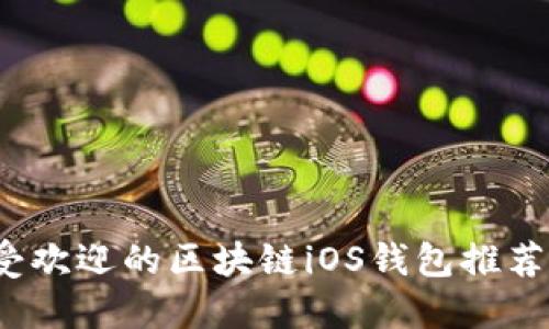 2023年最受欢迎的区块链iOS钱包推荐与使用指南
