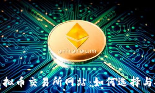   
全面解析虚拟币交易所网站：如何选择与安全性评估